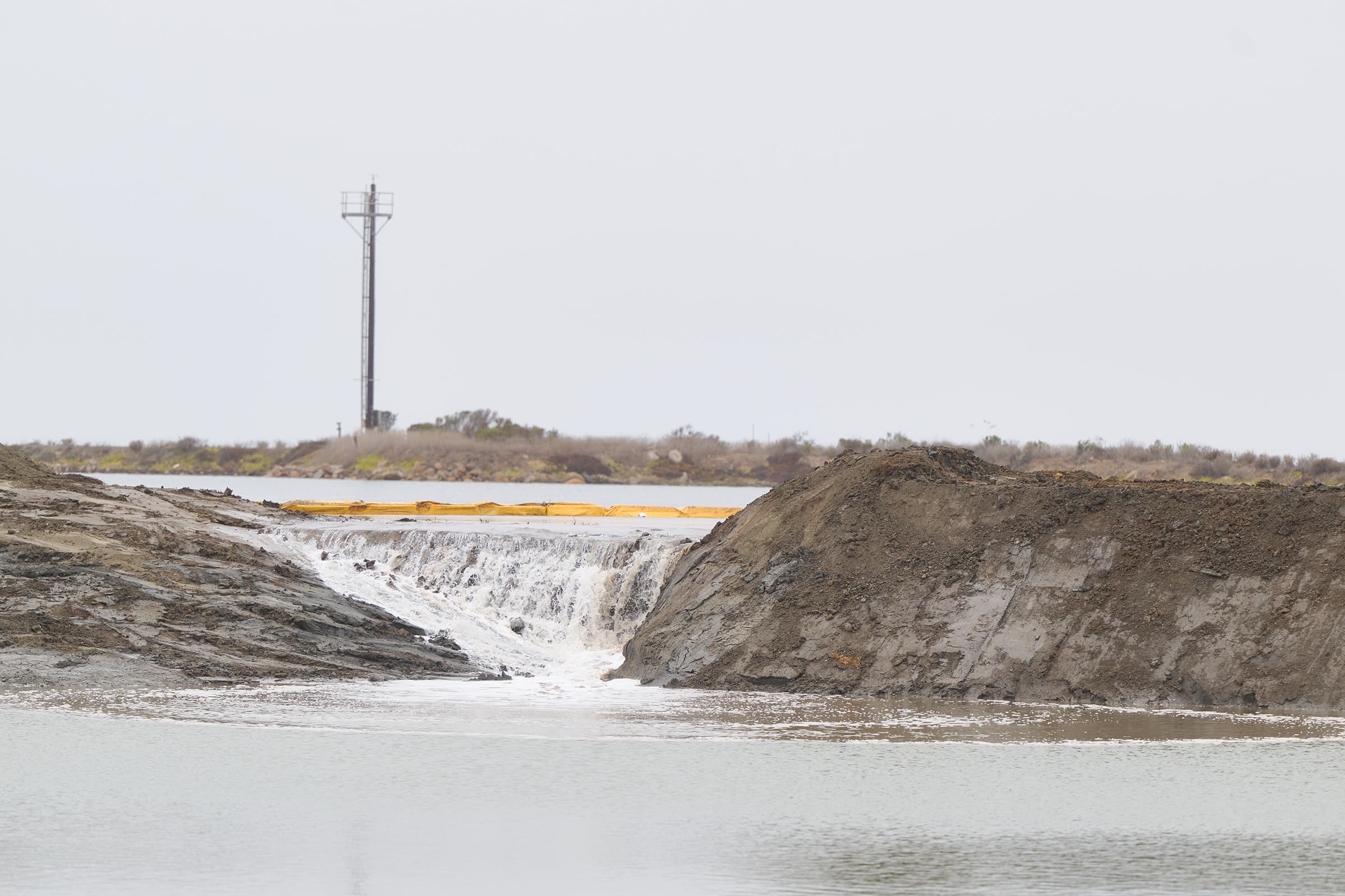 Otay River Estuary Restoration 2