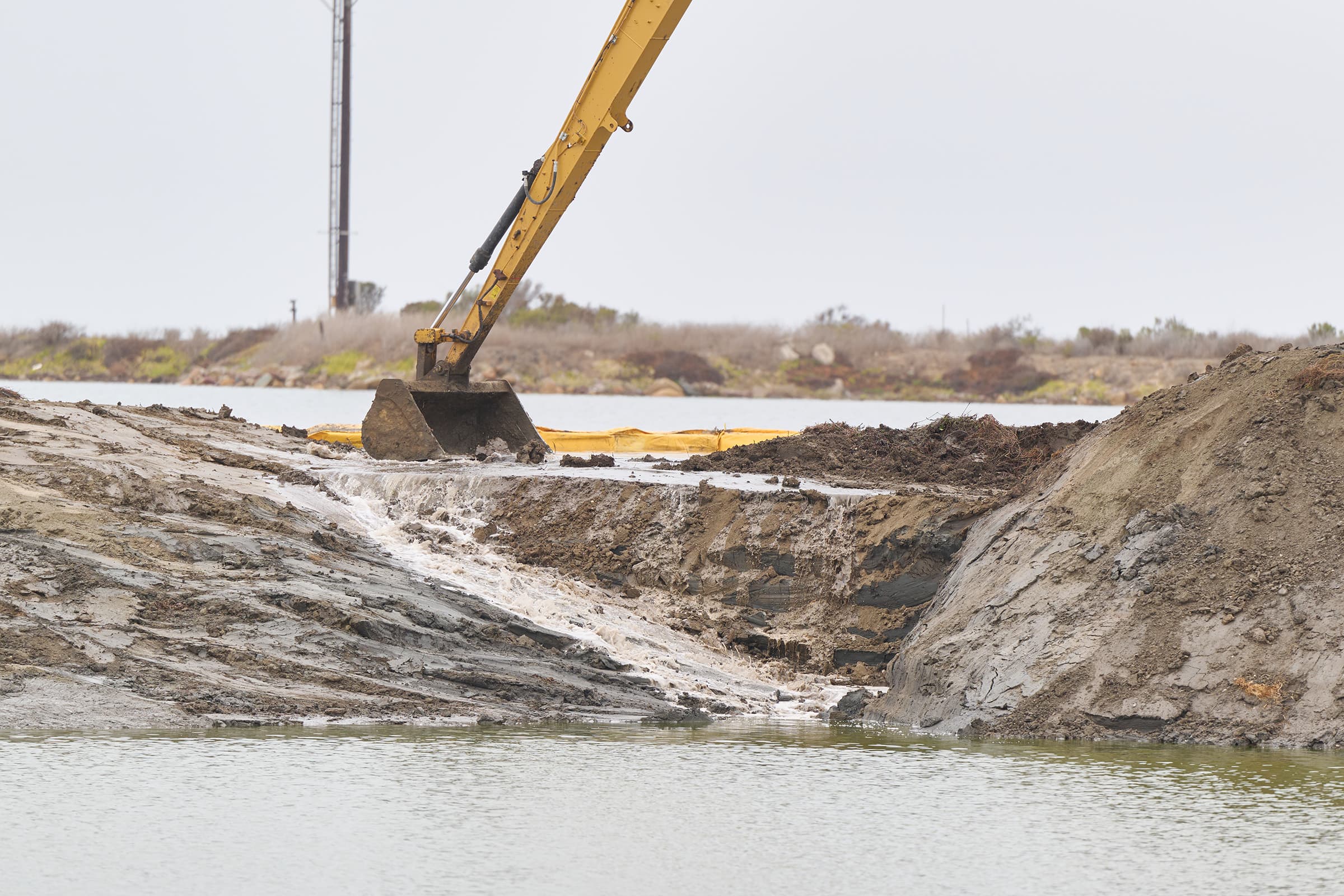 Otay River Estuary Restoration 1